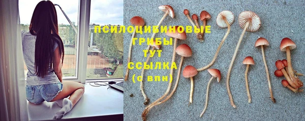 мяу мяу кристалл Арсеньев