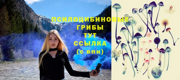 таблы Аркадак